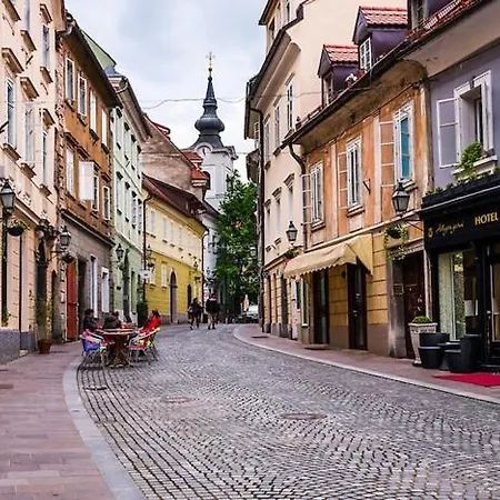 Apartamento A Precious In